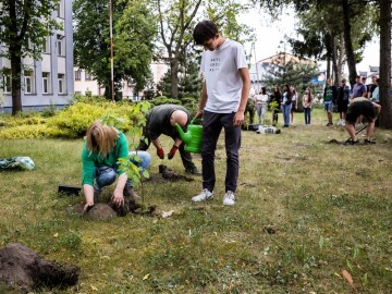 Hotel dla pszczół samotnic w Zespole Szkół Ponadpodstawowych w Przedborzu., 